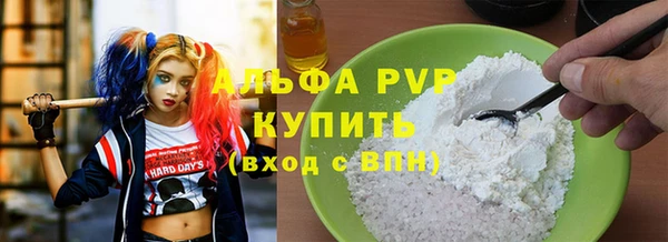 стафф Карпинск