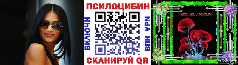 Галлюциногенные грибы Psilocybe  Купить закладки  Кузнецк 